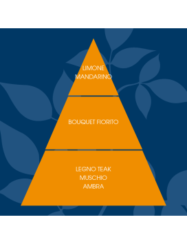 Bagnoschiuma Zafferano e Basilico